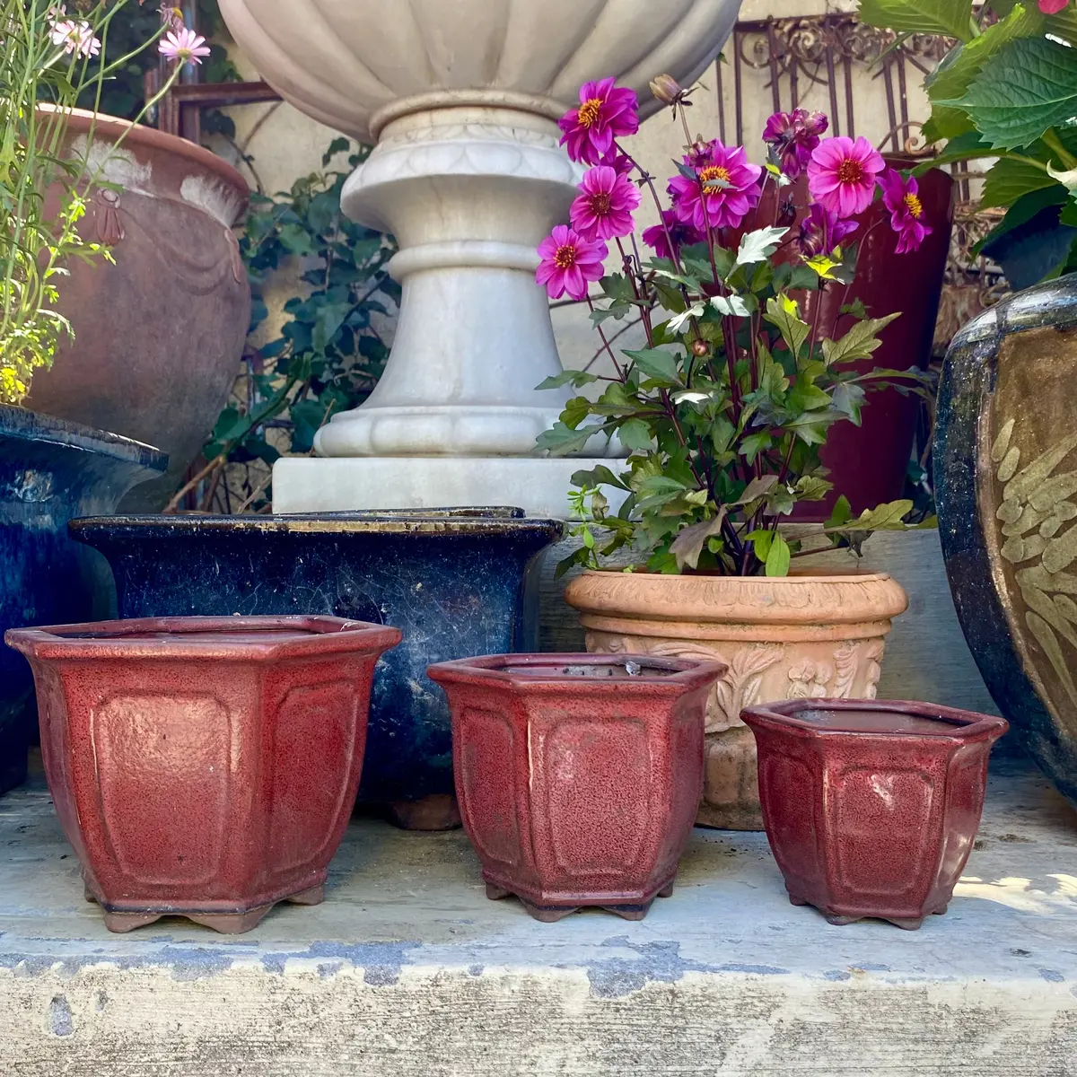 Burgundy Terracotta Planters 1