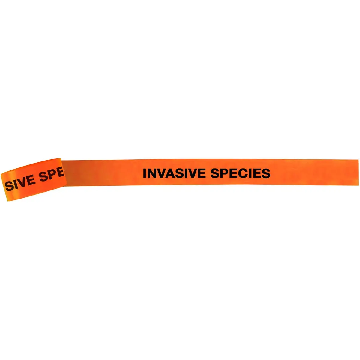 Flagging Tape - "Invasive Species" 1