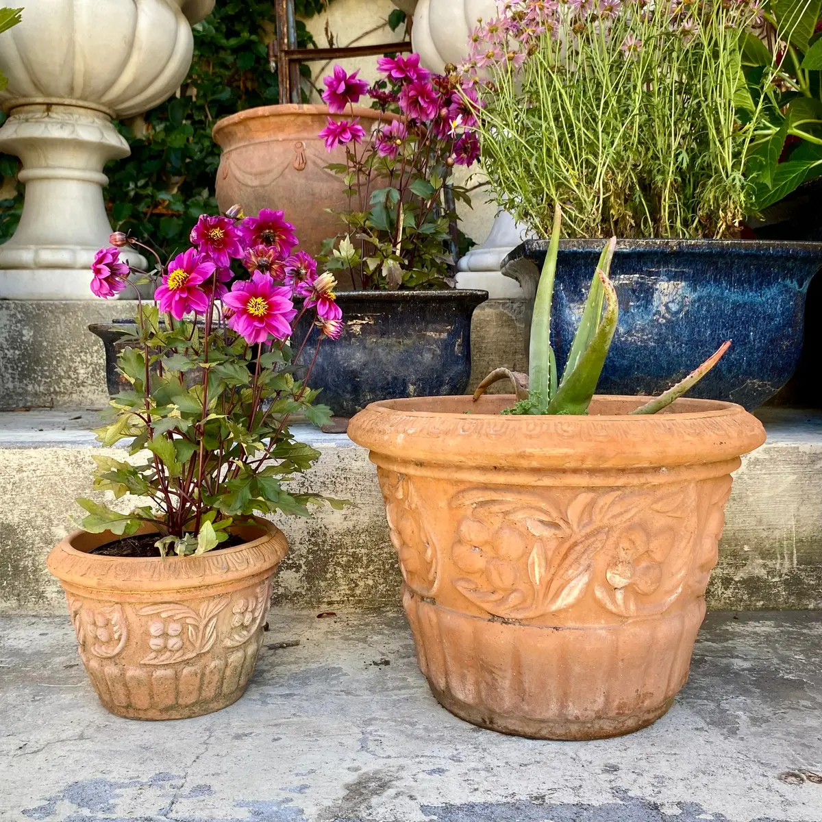 French Style Terracotta Pots - Sold 1