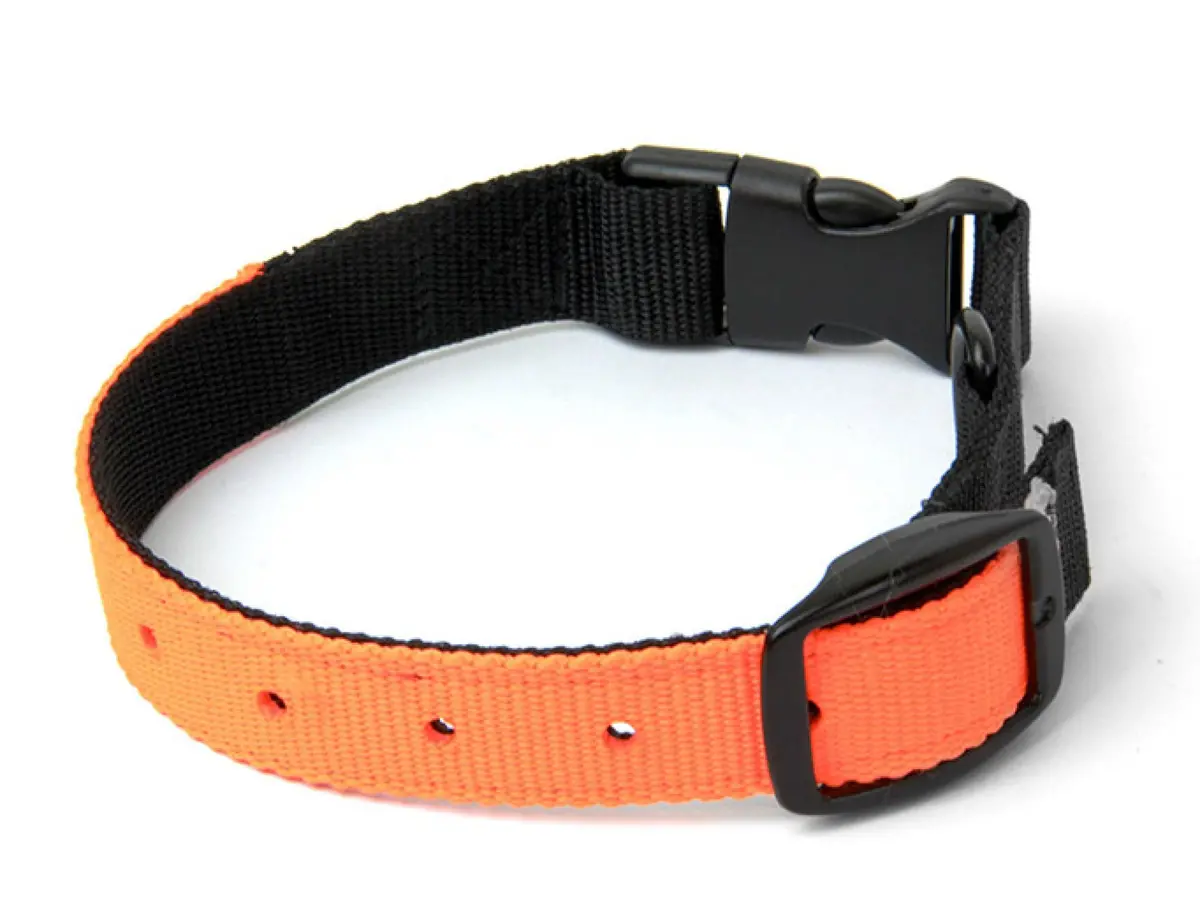 Reversable Dog Collar Orange/Black 1