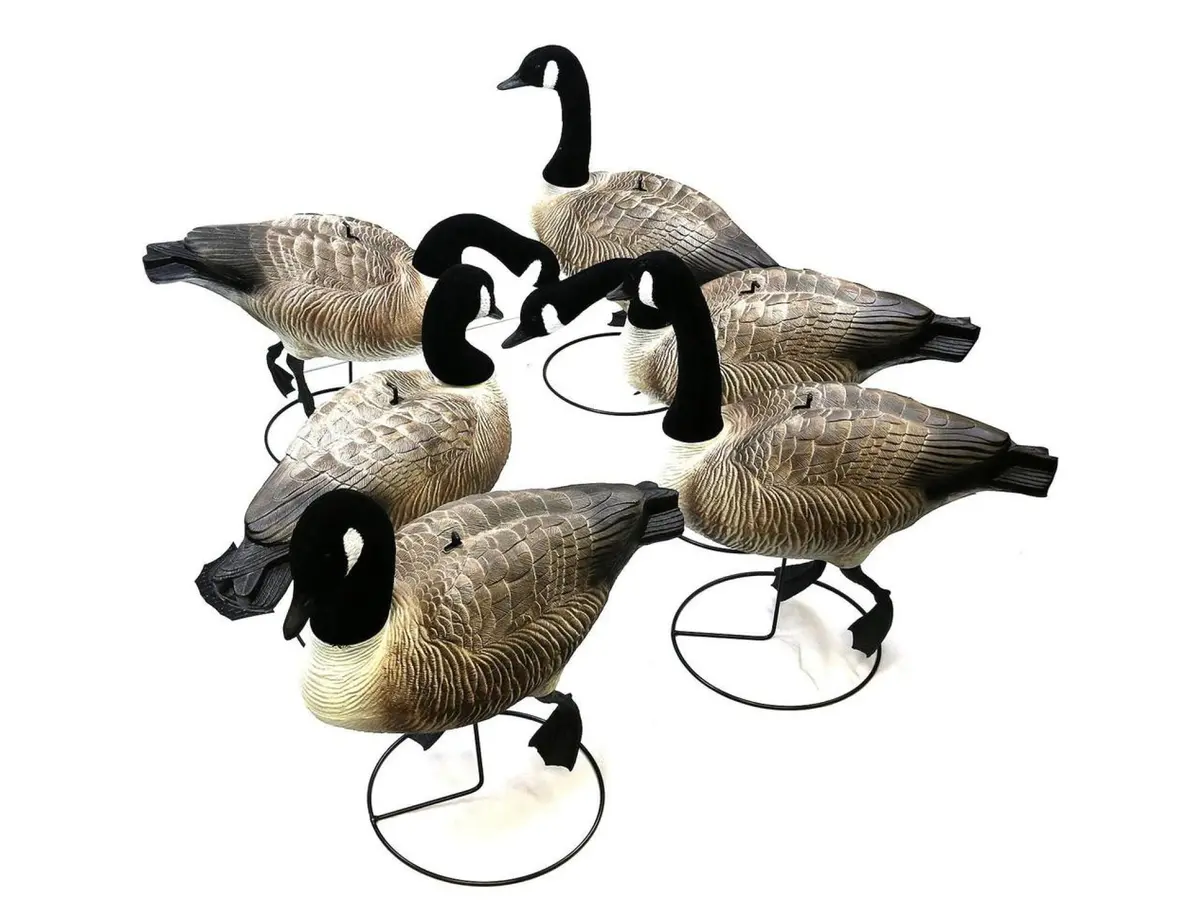 Terminator Canada Goose Full Body Pro Grade Decoys: 6-Pack 1