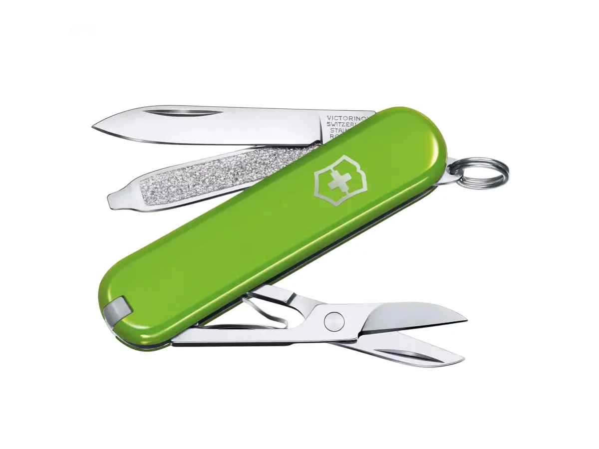 Victorinox Classic Sd Pocket Knife | Smashed Avocado Green 1