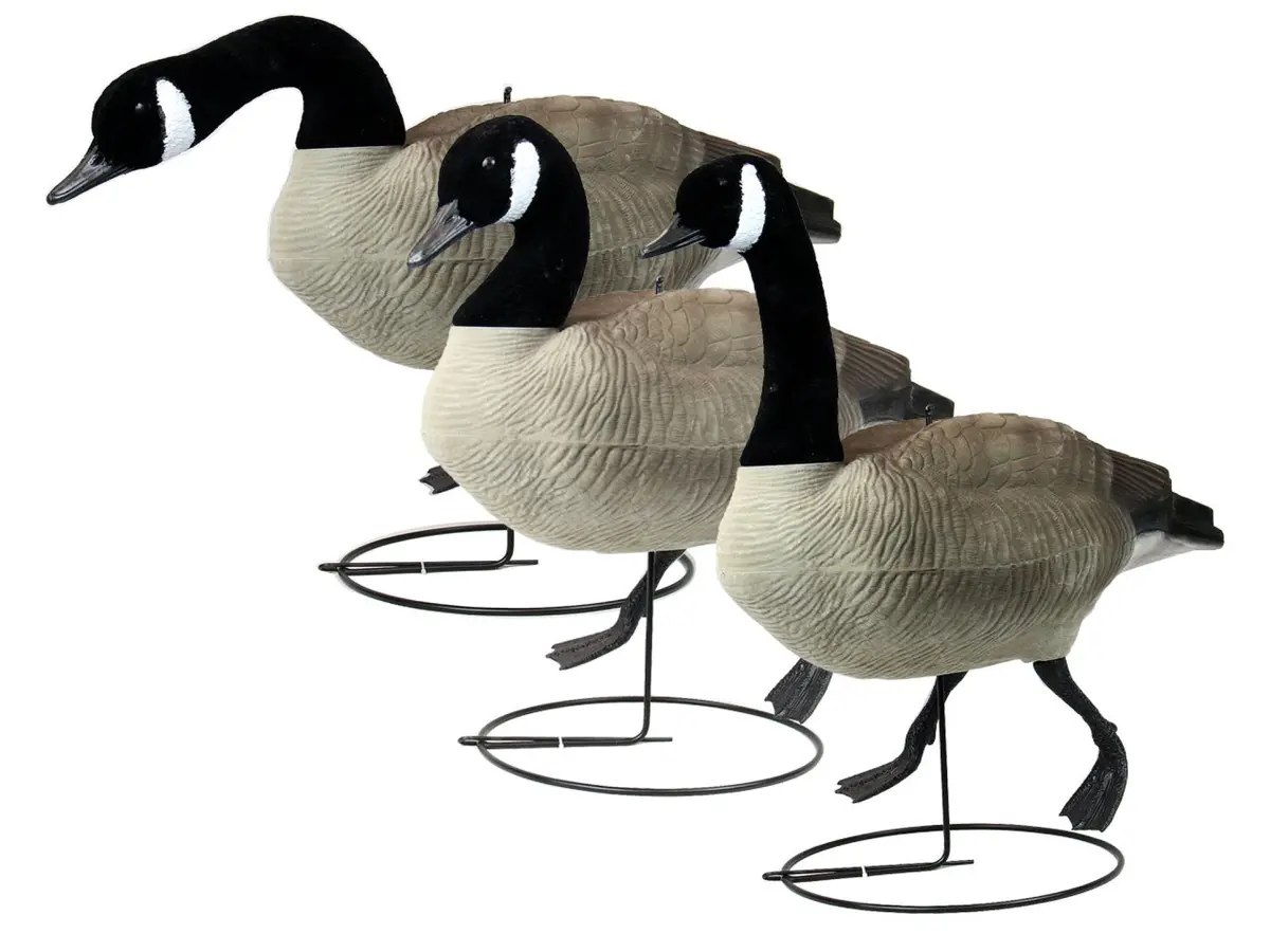 Game On Canada Goose Full Body Flocked Decoys: 6-Pack 1