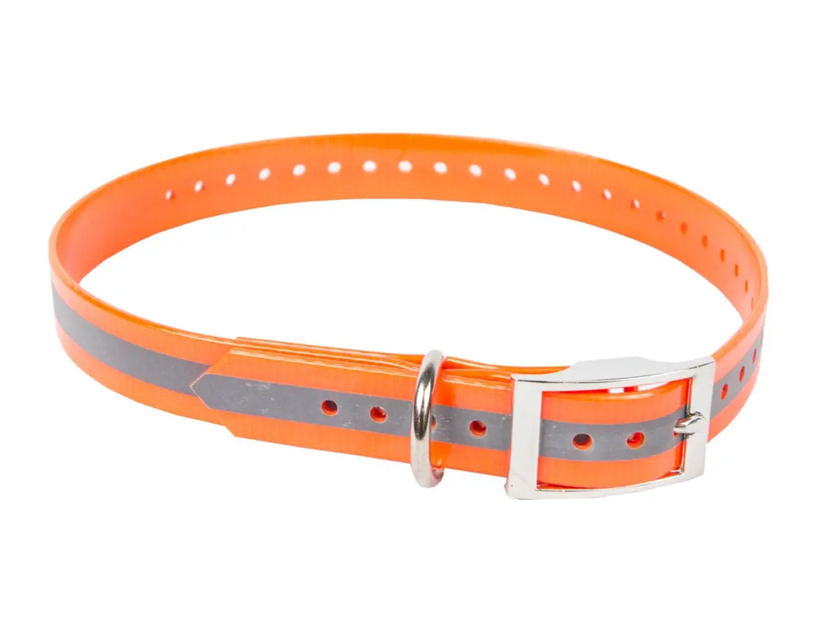 Outdoor Outfitters Blaze Orange Dog Collar: 600Mm 1