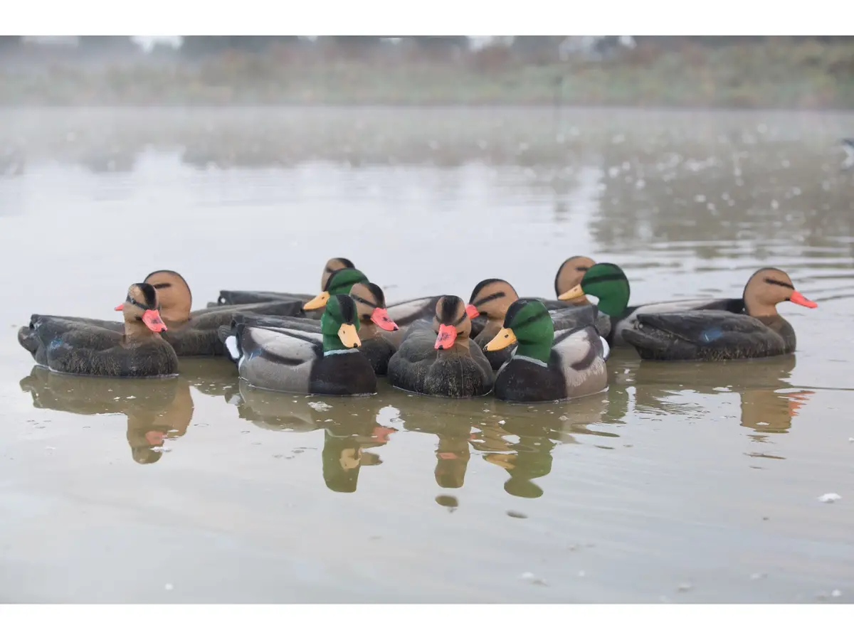 Game On Full Size Flocked Mallard Decoy Set 12 Pack (8 Hens / 4 Drakes) 1