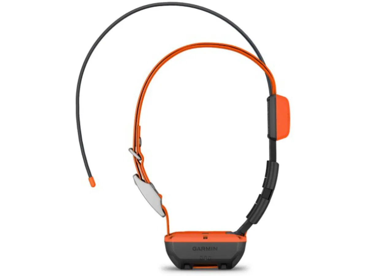Garmin Alpha T 20 Gps Dog Tracking Collar 1