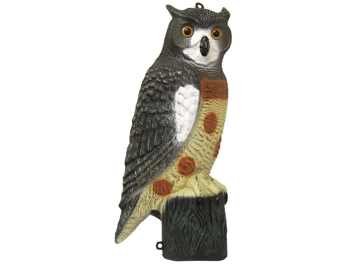 Outdoor Outfitters Large Owl Decoy Bird Deterrent 520Mm 1