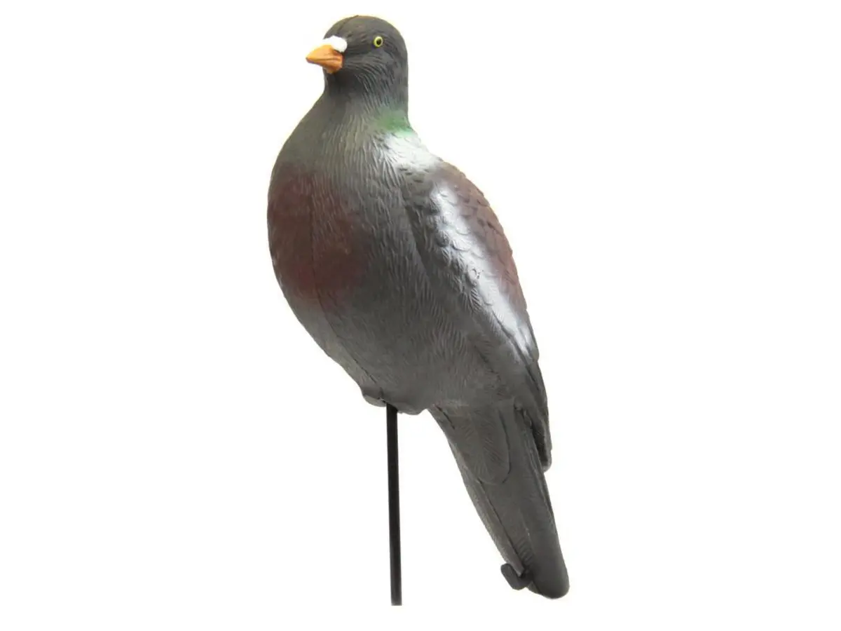 Outdoor Outfitters Pigeon Decoy Full Body Single With Stake 38Cm Field Use 1