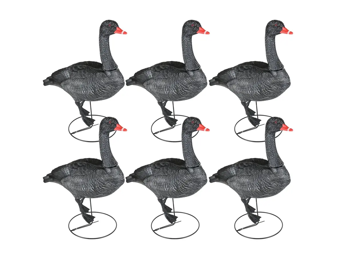 Game On Full Body Field Black Swan 6 Pack 1