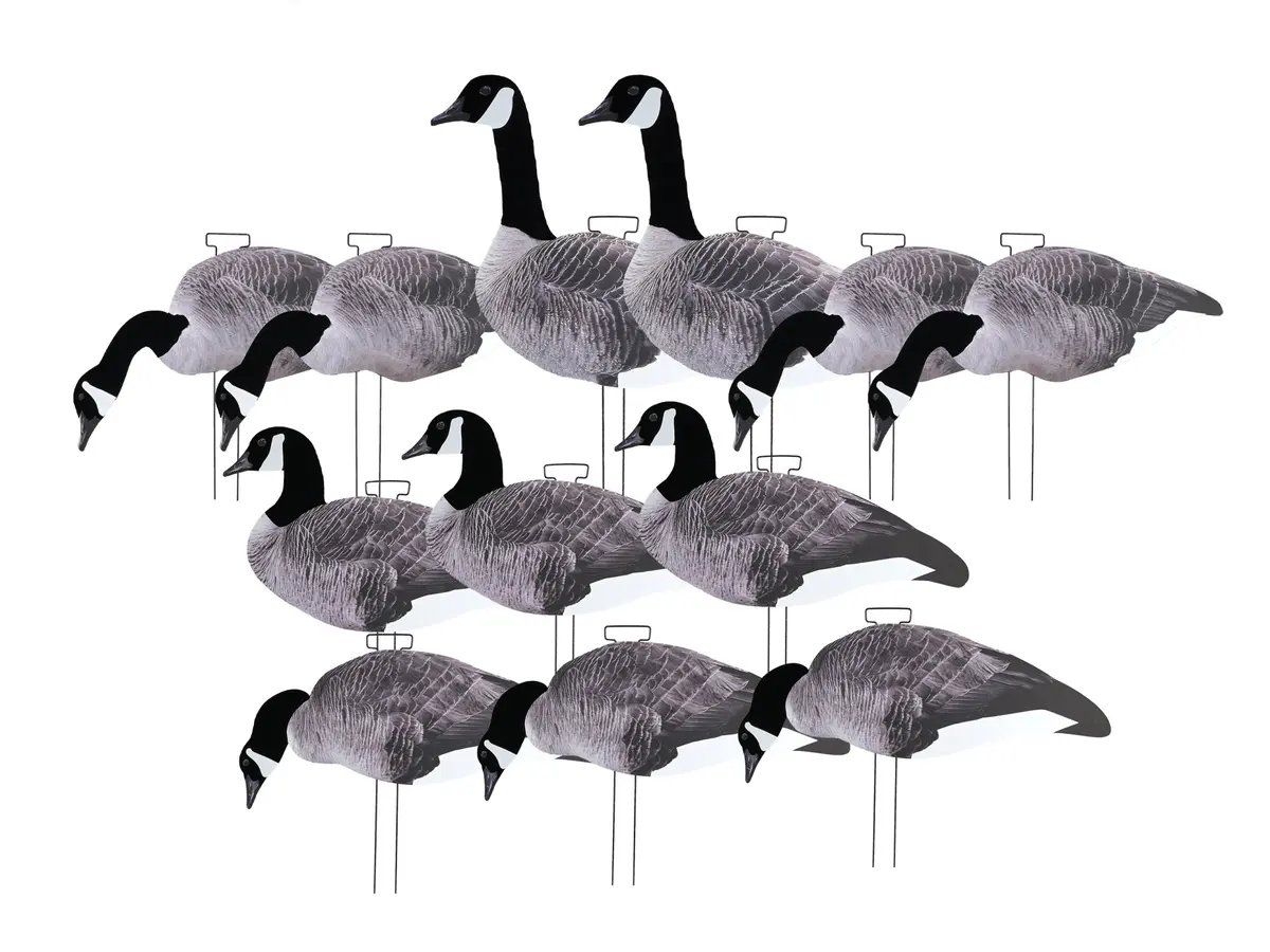 Game On Canadian Geese 2D Silhouette Decoys X12 1