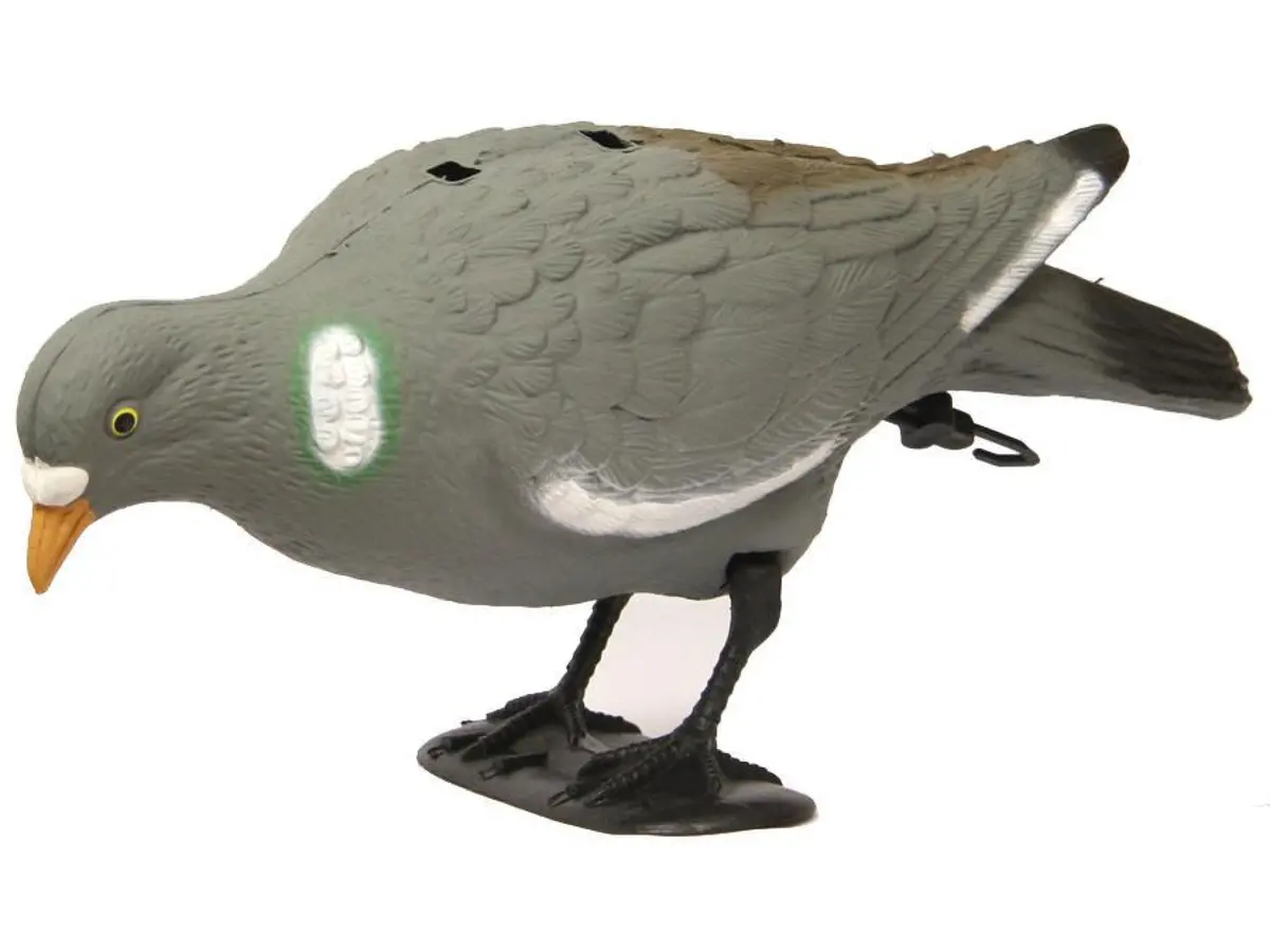 Outdoor Outfitters Pigeon Decoy Full Body With Stake 38Cm Field Setup 1