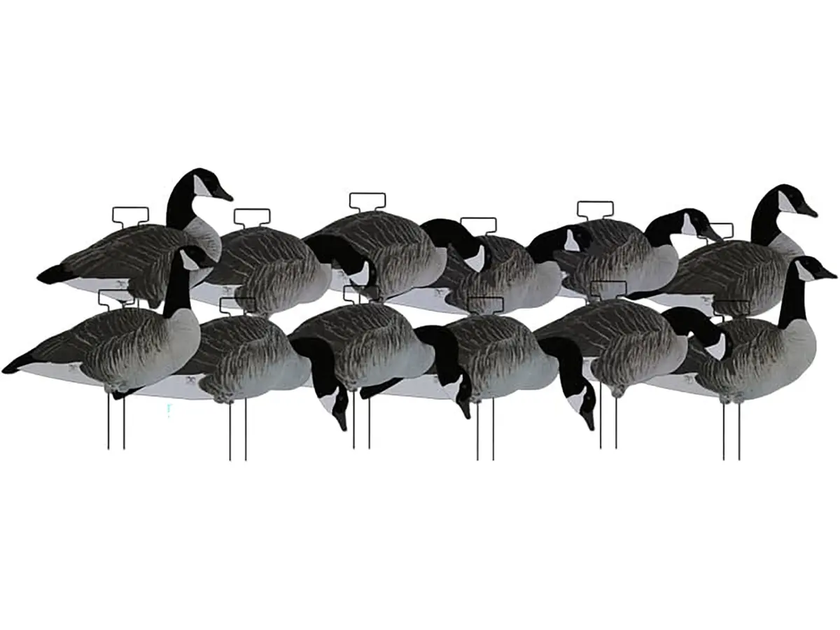 Dakota X-Treme Canada Goose Silhouettes Flocked Head & Tail X12 Set 1