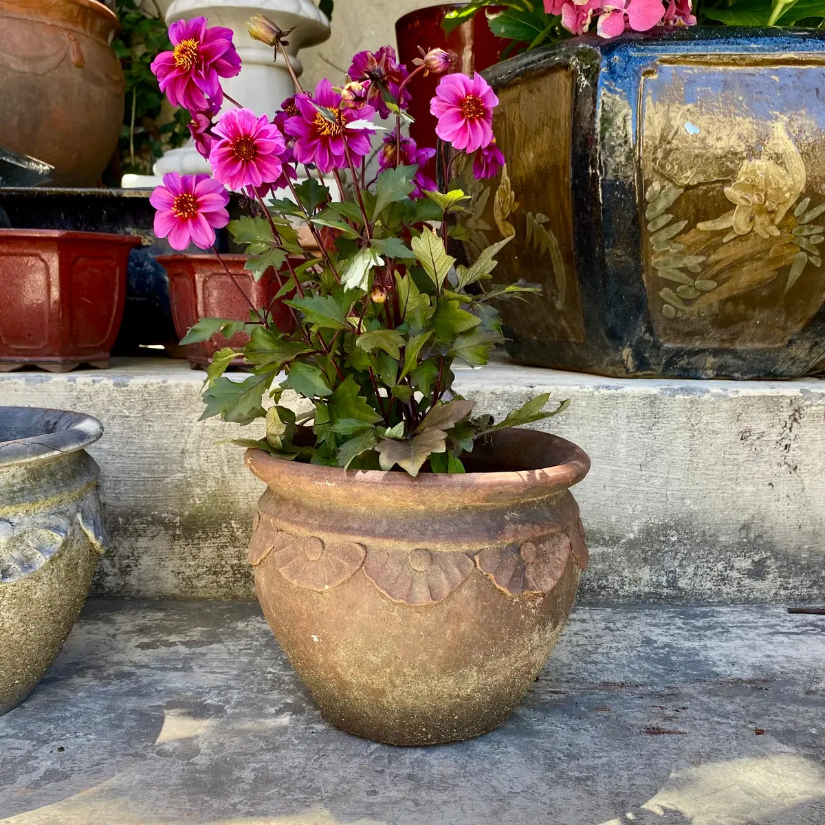 Small Terracotta Garden Pot - Sold 1