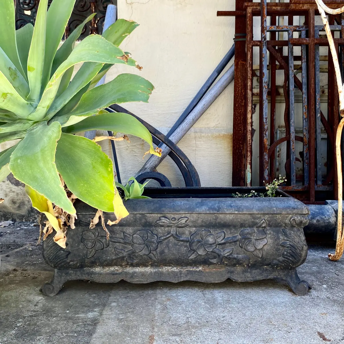 Aged Cast Iron Planter - Sold 1