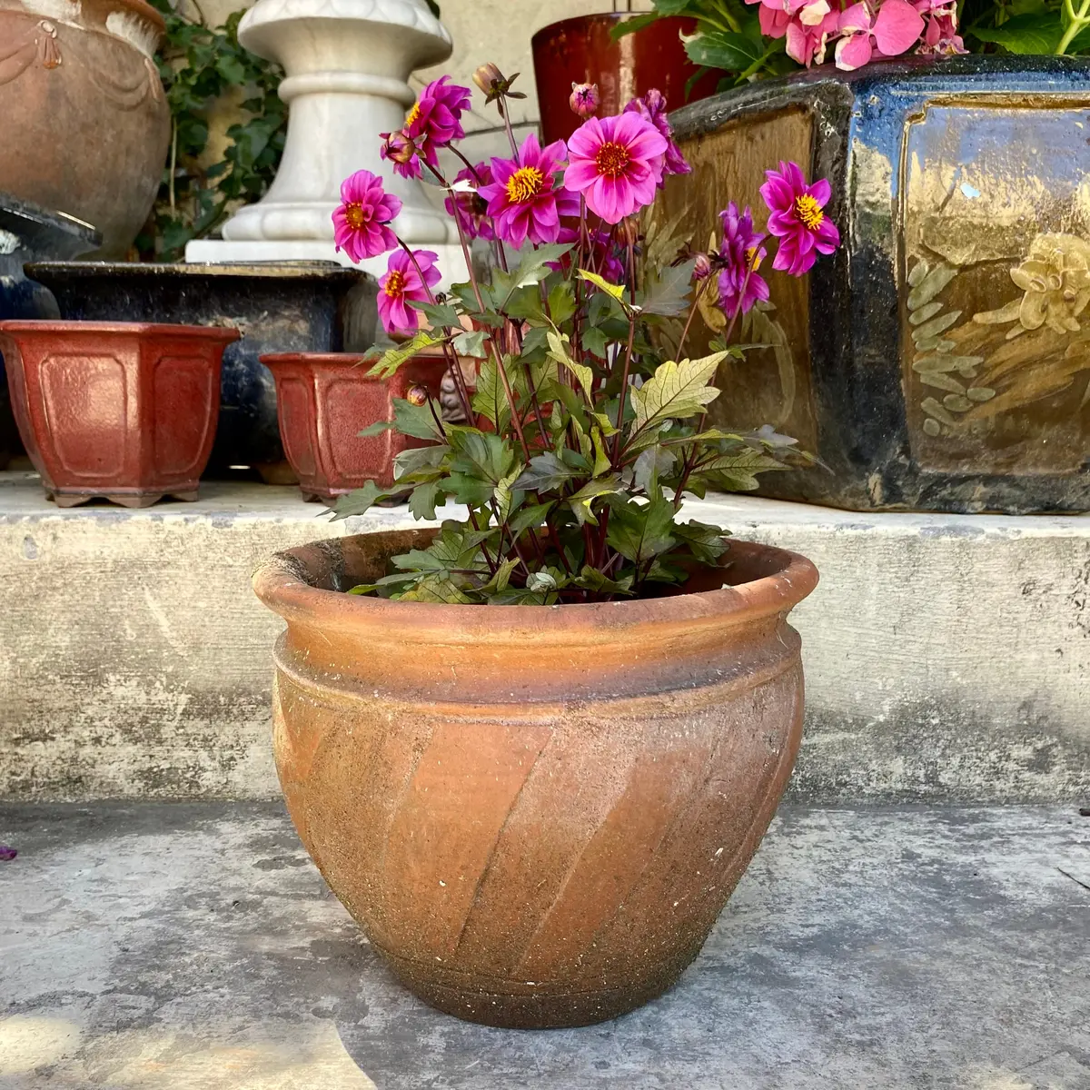 Small Aged Terracotta Pot - Sold 1