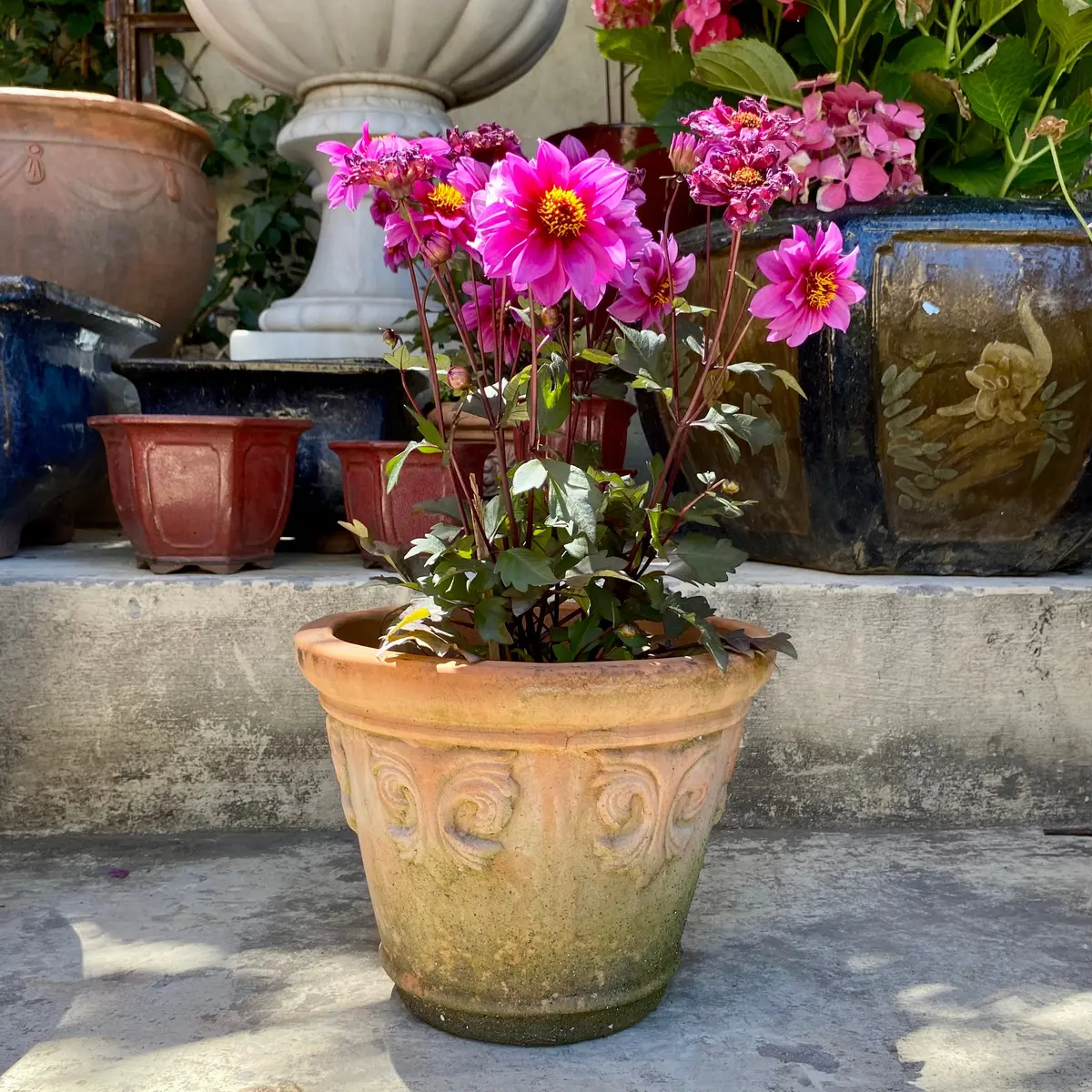 Small Aged Terracotta Pots - Sold 1