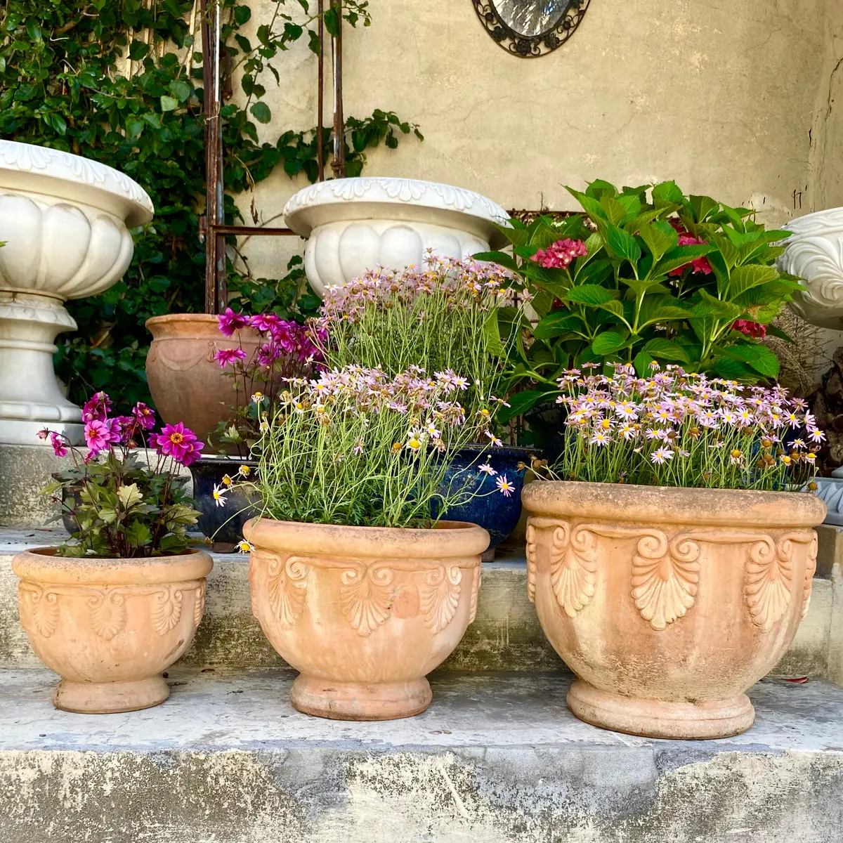 Beautiful Terracotta Pot - Sold 1