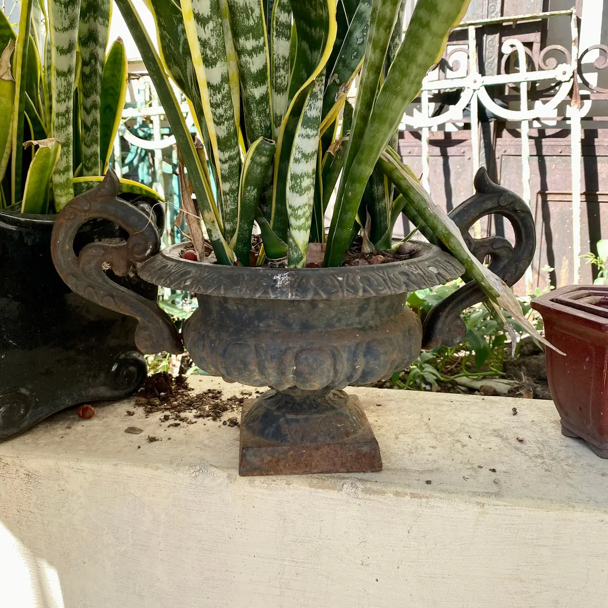 French Style Cast Iron Urn - Sold 1