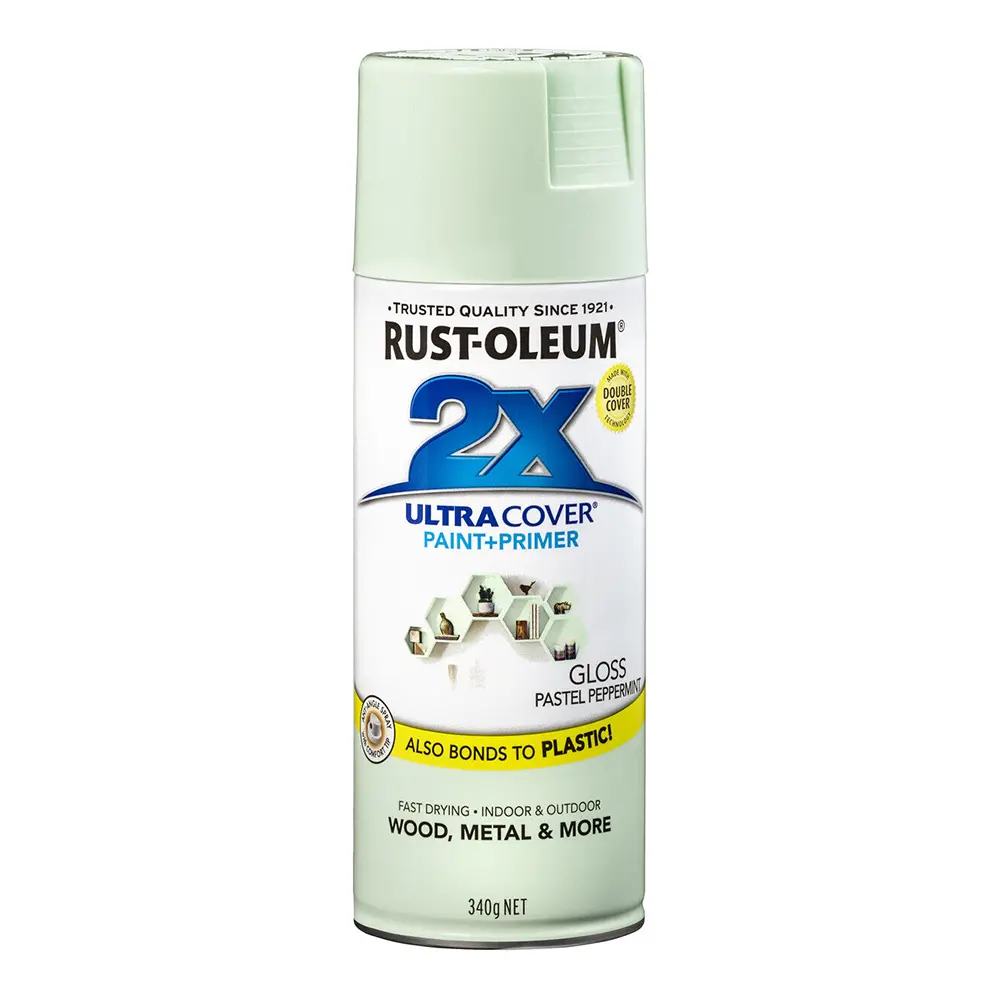 Rust-Oleum 2X Gloss Paint & Primer Spray Paint 340G Pastel Peppermint 1