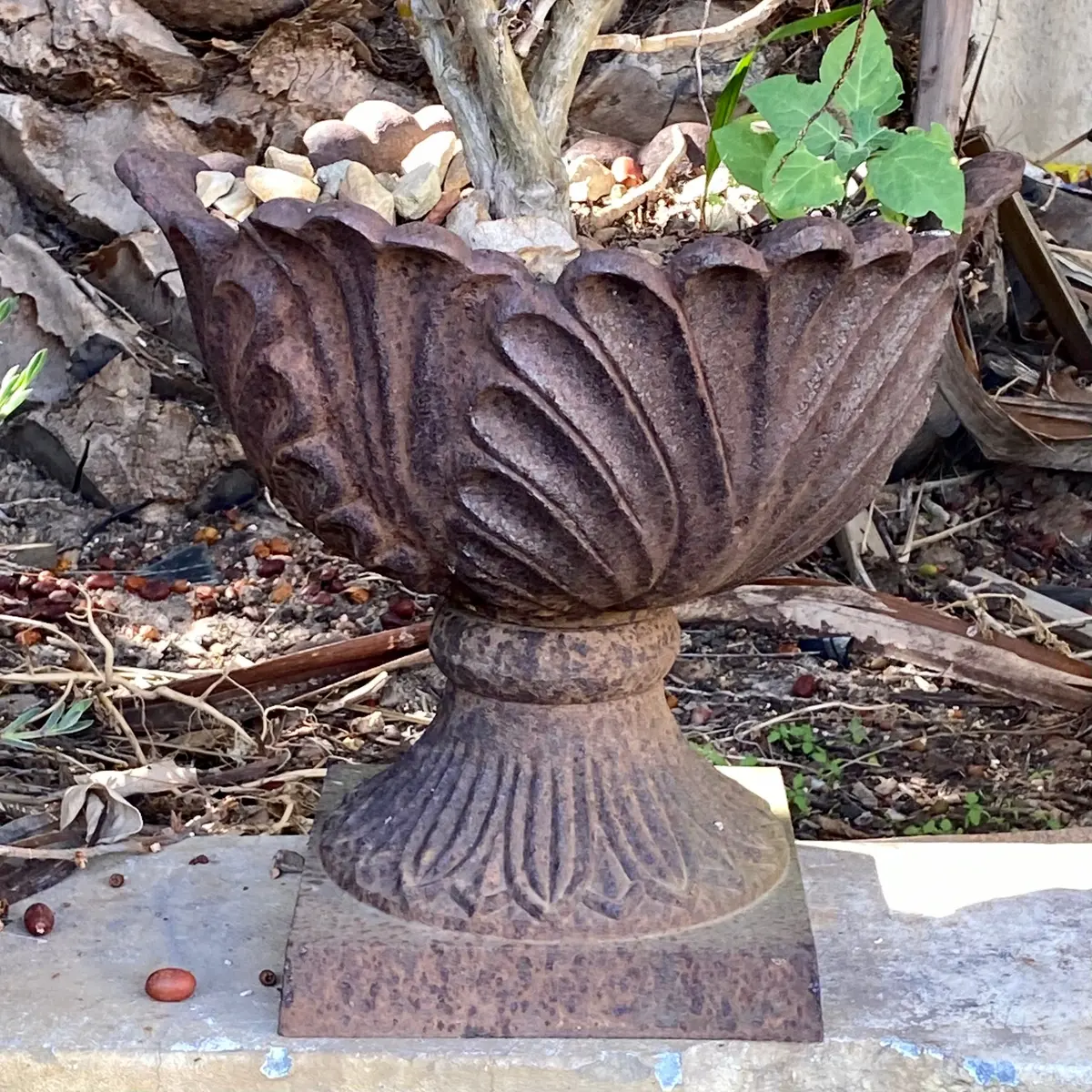 Rustic Cast Iron Cabbage Urn - Sold 2