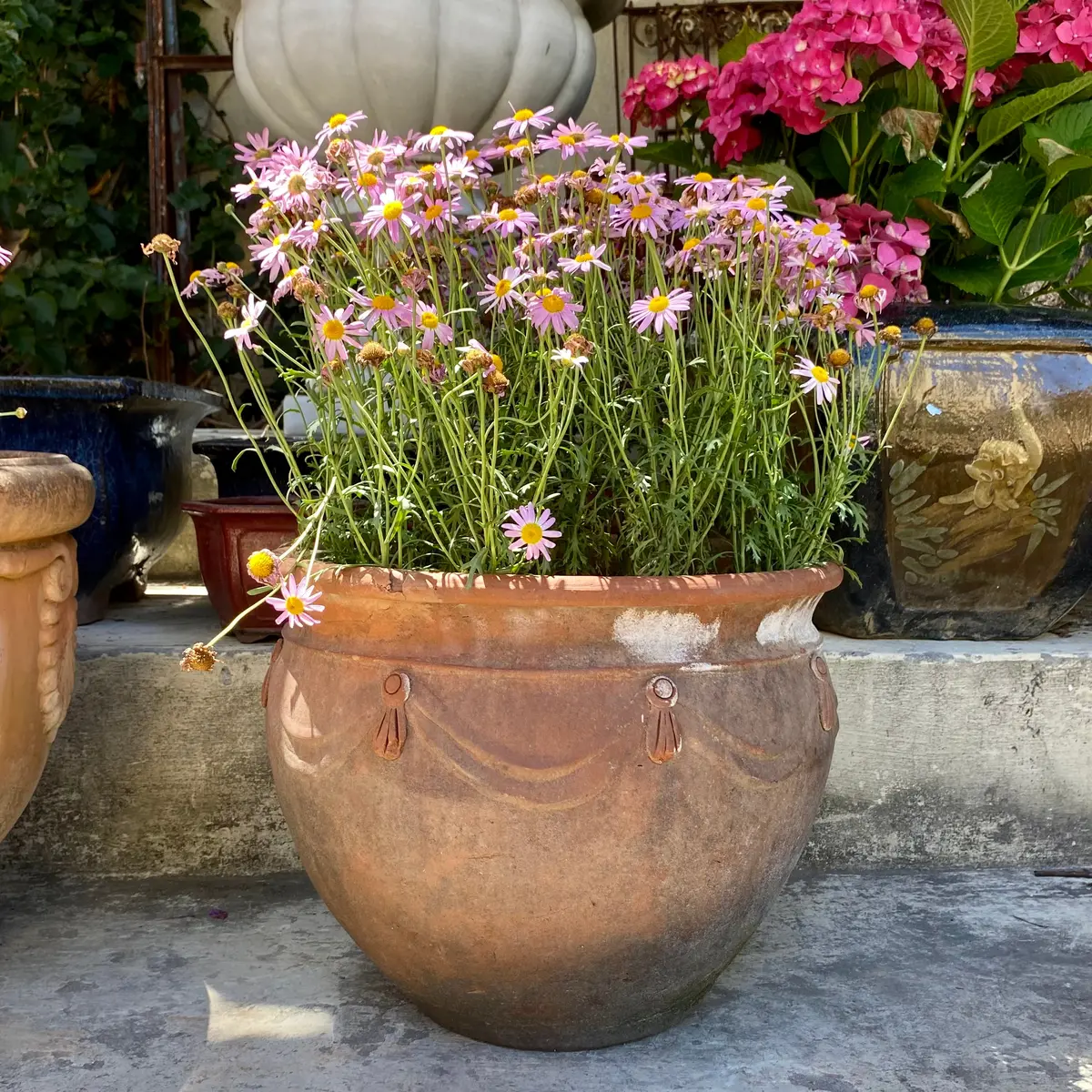 Aged Terracotta Pot With Ribbon Design - Sold 1