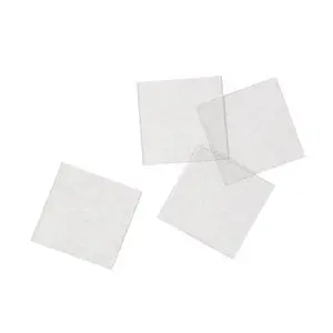 Microscope Cover Slips, Plastic, 22Mm X 22Mm, Box Of 100 1