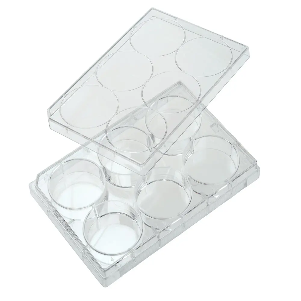 Multi-Well Plates, 6 Well 1