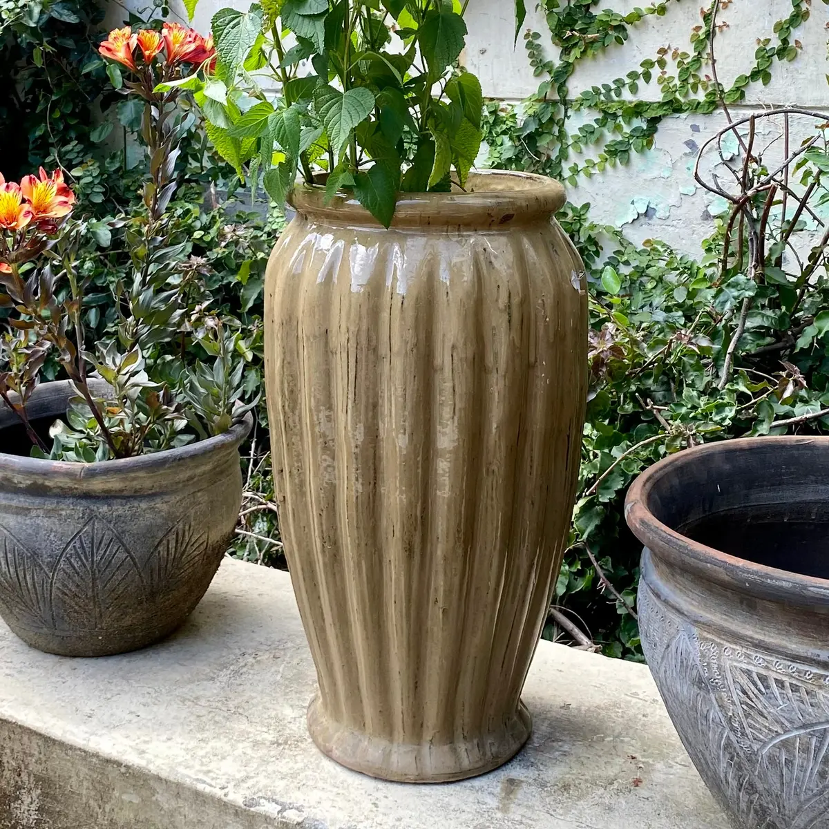 Mustard Terracotta Pots 1