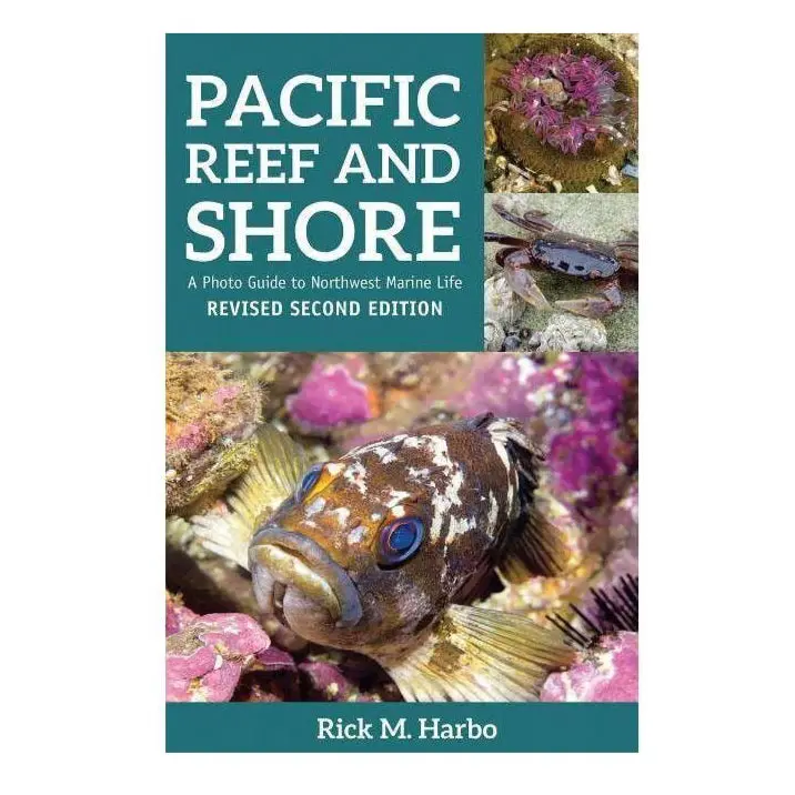 Pacific Reef And Shore 1