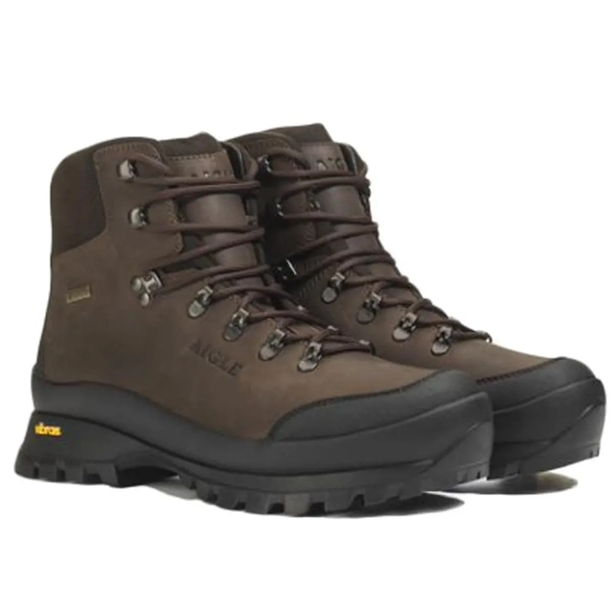 Aigle Muntagna Gtx Leather Ankle Boots 1