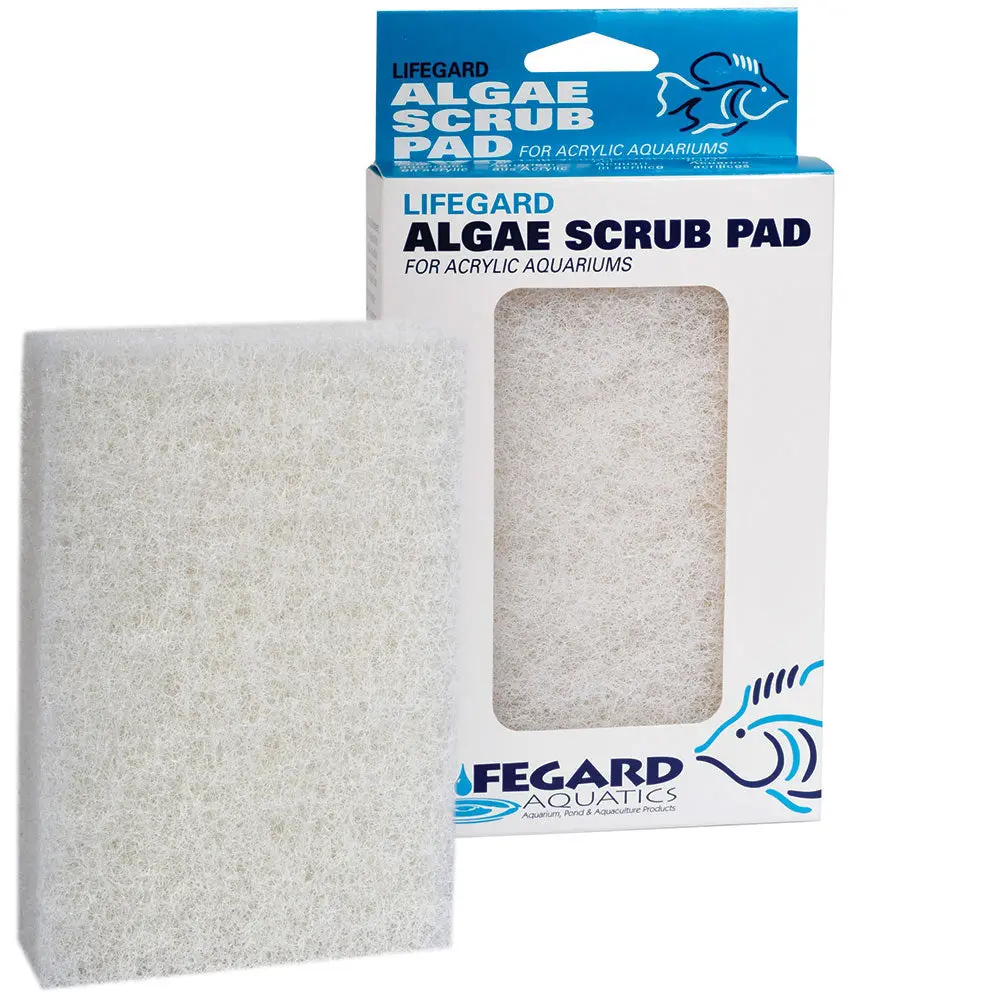 Algae Scrubbing Pads, 4" X 6", White (Fine), 1