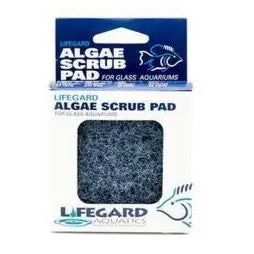 Algae Scrubbing Pad 3" X 3", Blue (Coarse) 1