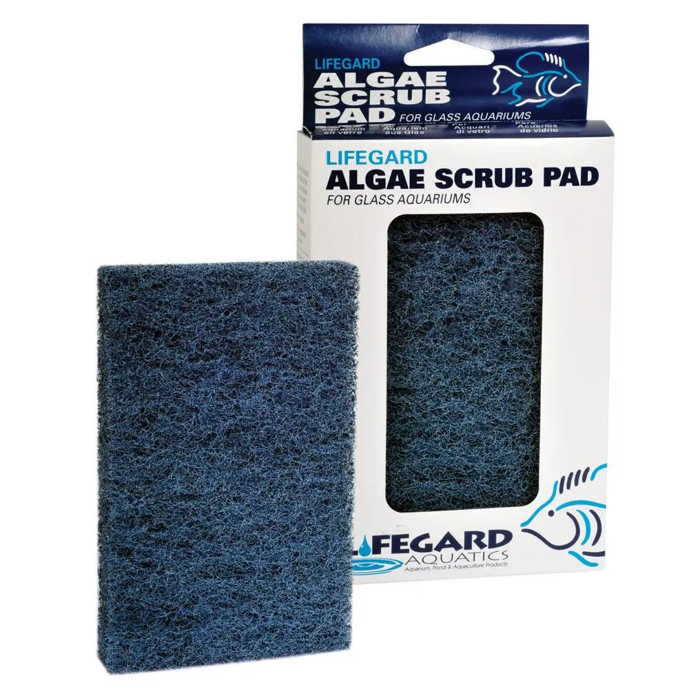 Algae Scrubbing Pad 4" X 6", Blue (Coarse) 1