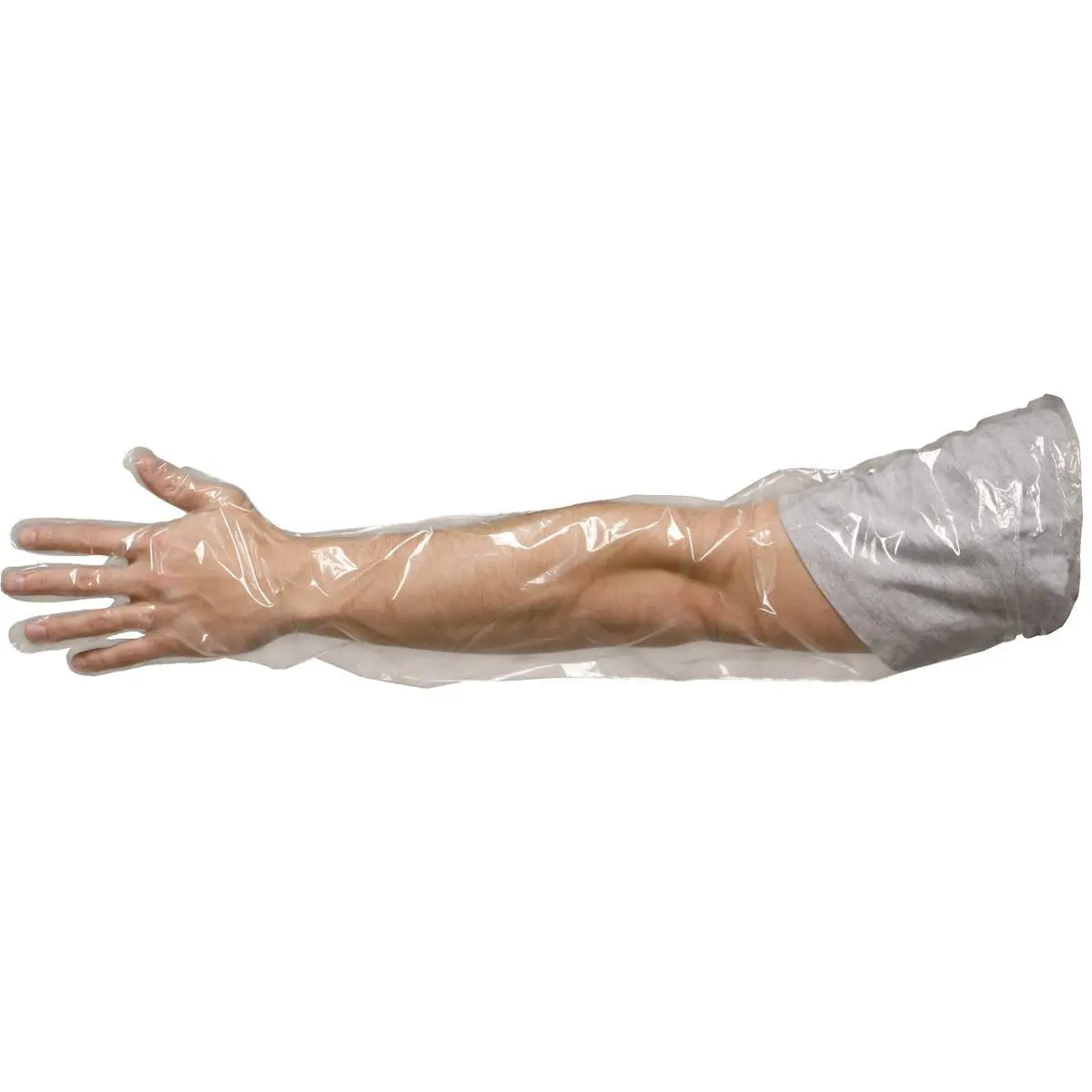 Shoulder Length Disposable Gloves, Box Of 100 1