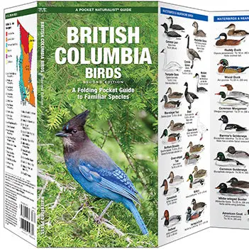 Folding Pocket Guide: British Columbia Birds, 2Nd Edition 1