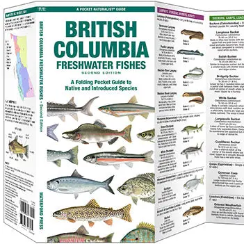 Folding Pocket Guide: British Columbia Freshwater Fisheries, 2Nd Edition 1