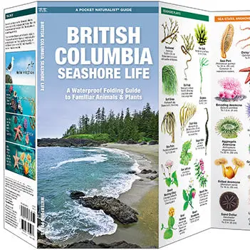 Folding Pocket Guide: British Columbia Seashore Life, 3Rd Edition 1
