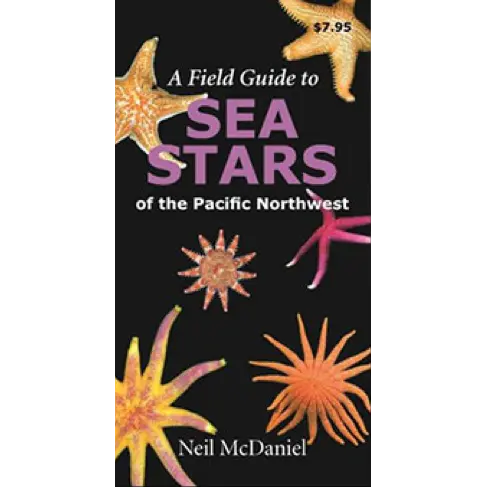 A Field Guide To Sea Stars Of The Pacific Northwest 1