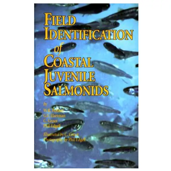 Field Identification Of Coastal Juvenile Salmonids 1