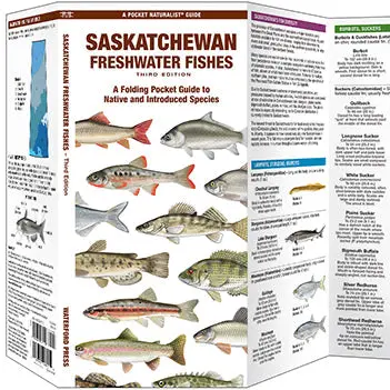 Folding Pocket Guide To Saskatchewan Freshwater Fishes, 3Rd Edition 1