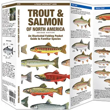 Folding Pocket Guide - Trout & Salmon Of North America, 2Nd Edition 1