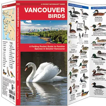 Folding Pocket Guide: Vancouver Birds 1