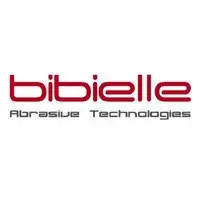 Bibielle Q/C Surface Conditioning Disc 50Mm Fine Agrey Roloc 2Inch Bx50 51Mm 2
