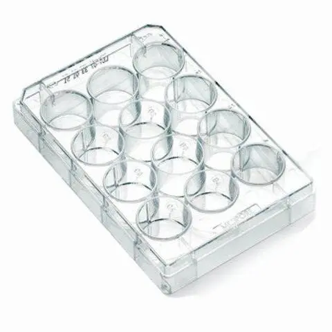 Multi-Well Plates, 12 Well 1