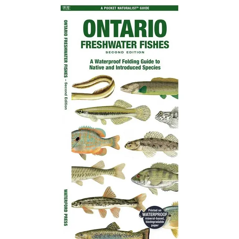 Folding Pocket Guide To Ontario Freshwater Fishes, 2Nd Edition 1