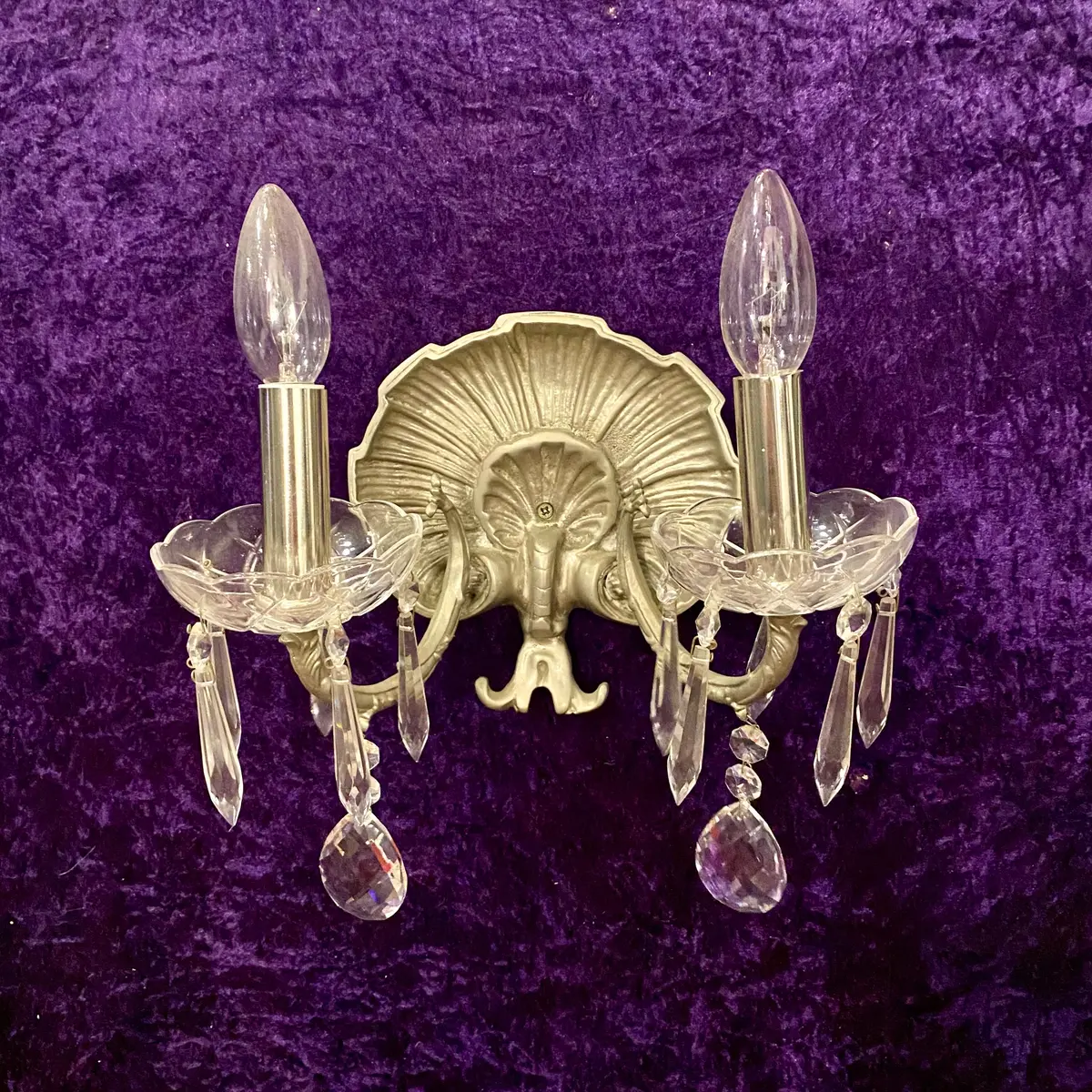 Single Clam Shell Sconce 1