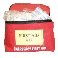 First Aid Kit, Professional 1
