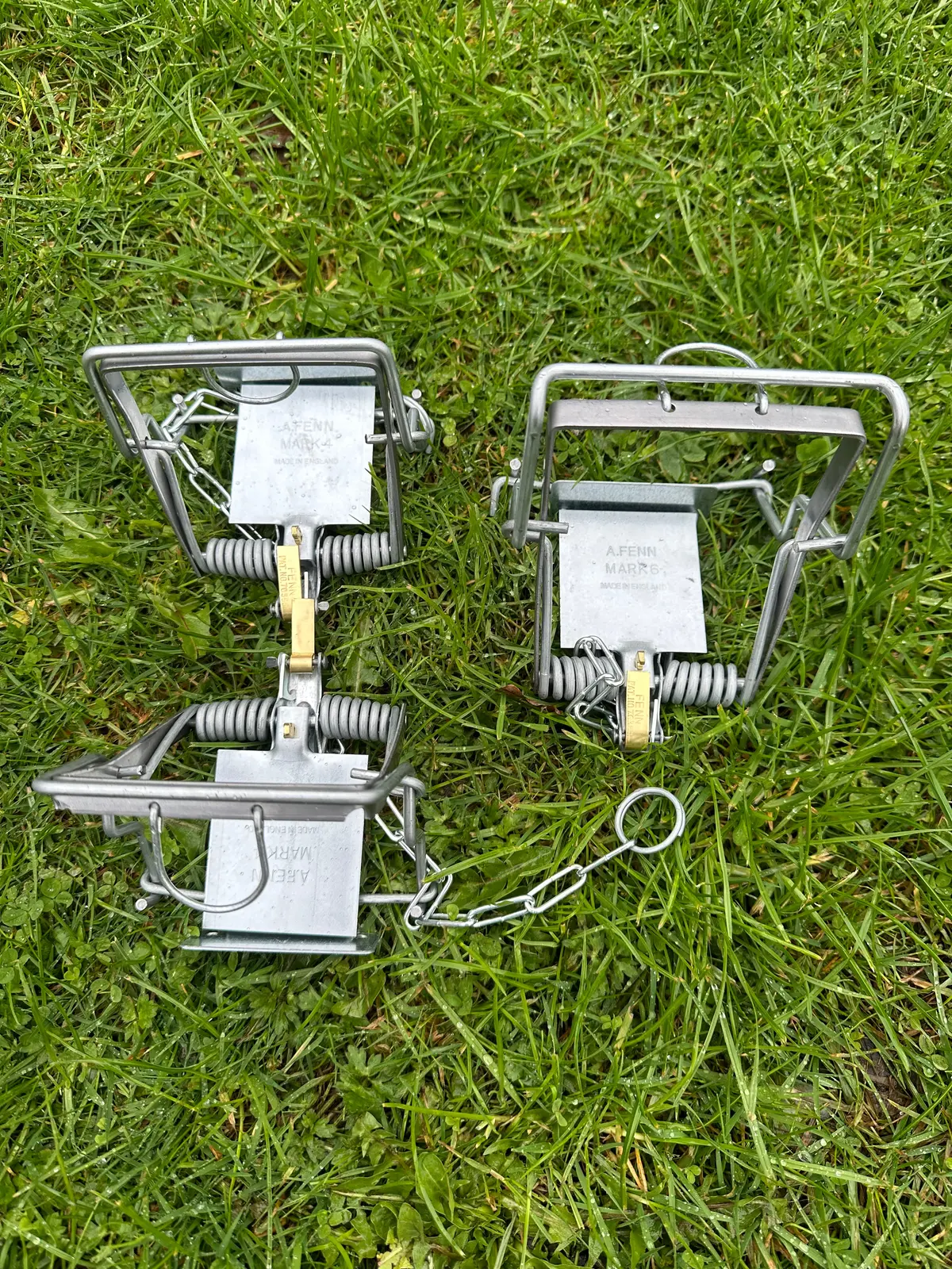 Fenn Trap - Mark 4 Or 6 1