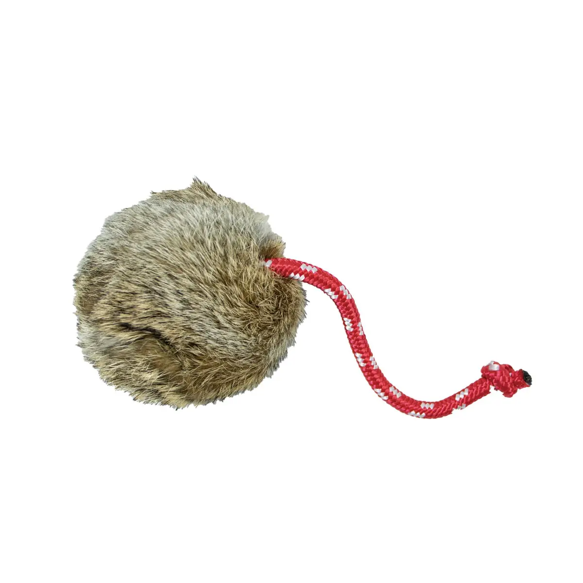 Dog & Field Dummy Throwing Rabbit Ball 1
