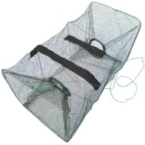 Economy -  Minnow Trap, Collapsible 1